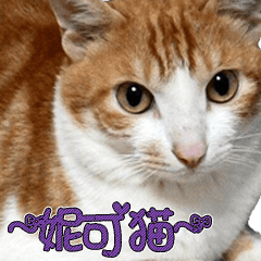 にこ猫 - 真実版 中国語