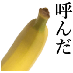 こんな、バナナ どうでしょう？