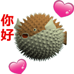 (In Chinene) CG Porcupinefish (2)
