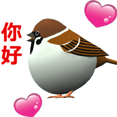 (In Chinene) CG Sparrow (2)