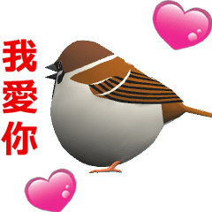 (In Chinene) CG Sparrow (1)