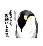 エンペラーといっしょ（mato）（個別スタンプ：10）