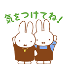 ミッフィーの家族で使えるスタンプ（個別スタンプ：30）