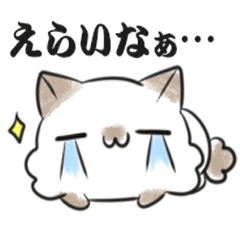 [LINEスタンプ] 褒めねこ