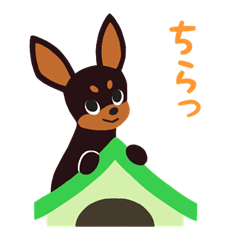 [LINEスタンプ] BARON BUDDIES 23 ミニチュア・ピンシャー