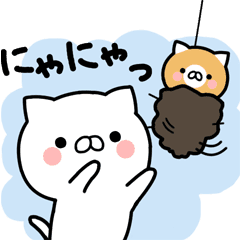 [LINEスタンプ] 動く！毎日使えるリアクションネコスタンプ