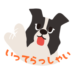 [LINEスタンプ] BARON BUDDIES 24 ボーダー・コリー
