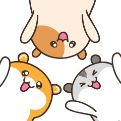 [LINEスタンプ] 可愛く動く♥癒し系ハムの毎日スタンプ