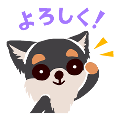 [LINEスタンプ] BARON BUDDIES 29 チワワ（ブラックタン）